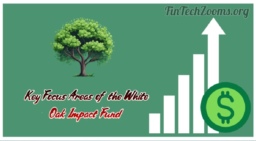 Key Focus Areas of the White Oak Impact Fund