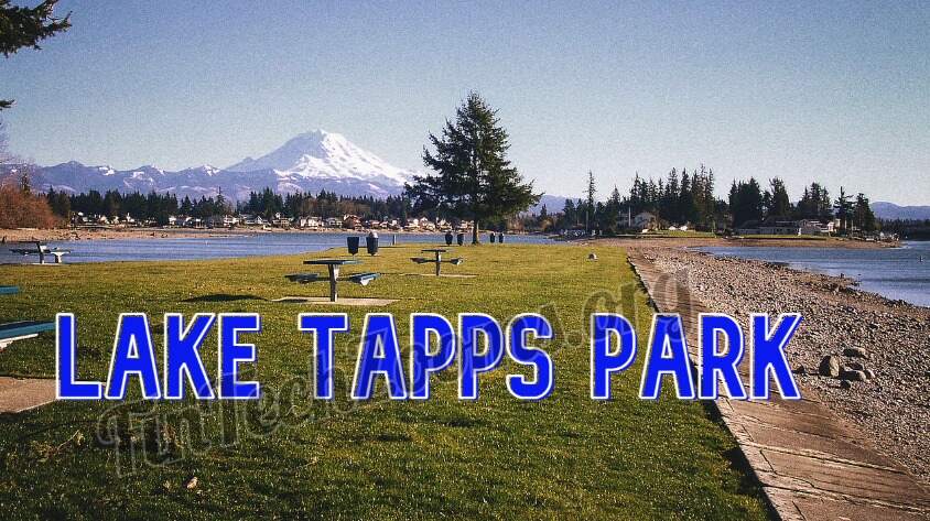 Best Time to Visit Lake Tapps Park