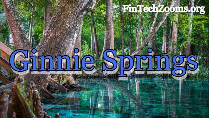 Ginnie Springs: Top Things to Know Before You Visit