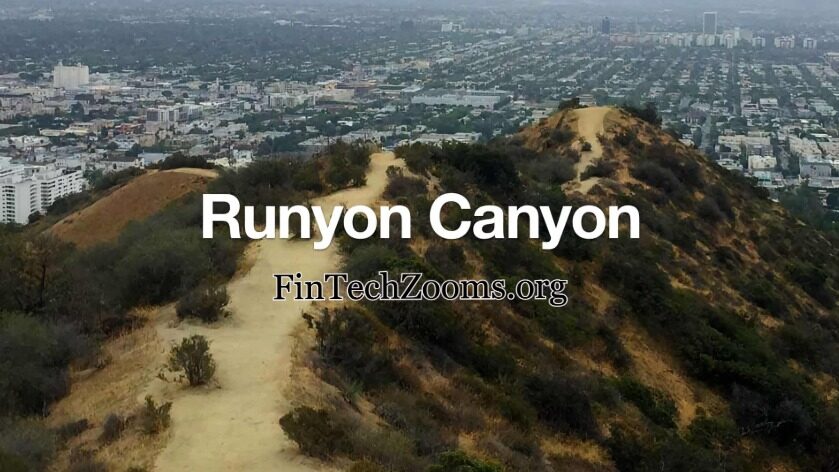 Is Runyon Canyon Dog-Friendly