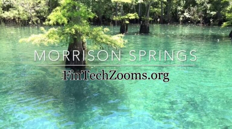 Morrison Springs: Essentials Tips For Visitor