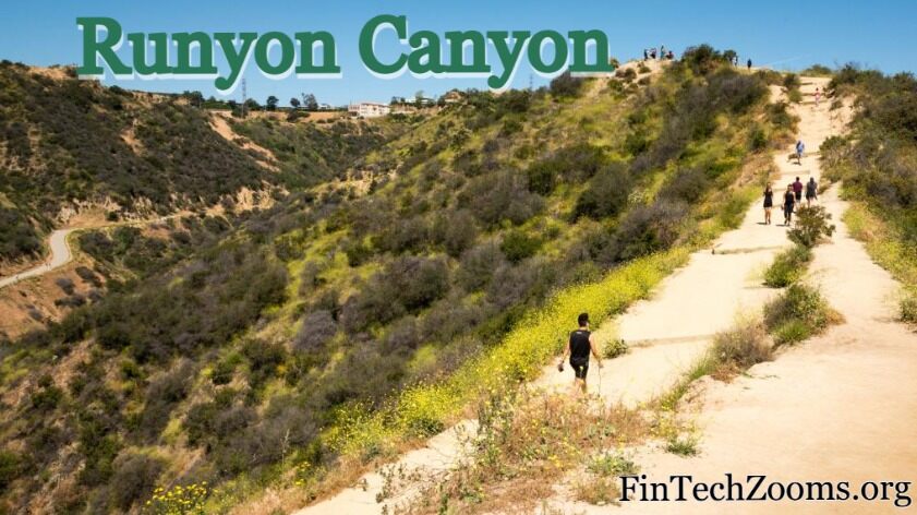 Why Visit Runyon Canyon